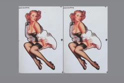 Black Horse 2276mm P-40C Warhawk Decal Sheet