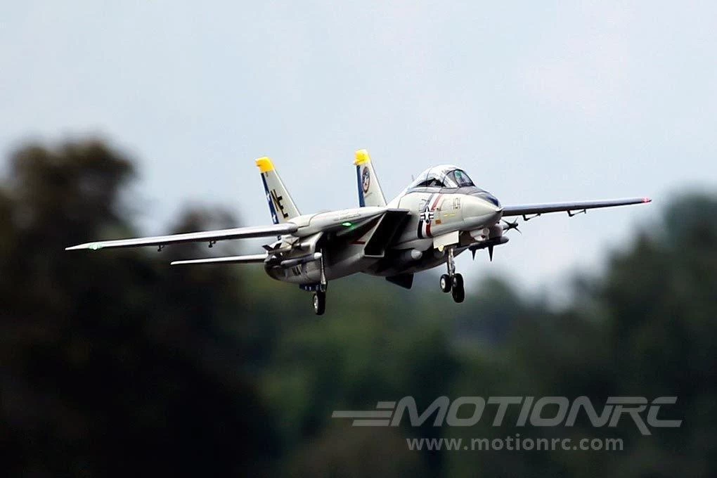Freewing F-14 Tomcat Twin 80mm EDF Jet - ARF PLUS - Image 13