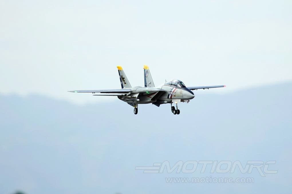 Freewing F-14 Tomcat Twin 80mm EDF Jet - ARF PLUS - Image 9