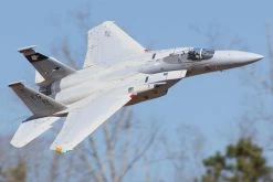 Freewing F-15C Eagle Super Scale High Performance 90mm EDF Jet - PNP