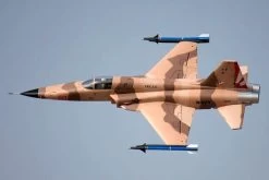 Freewing F-5 Tiger II Camo High Performance 80mm EDF Jet - PNP