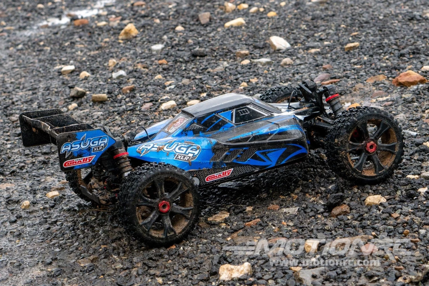 Team Corally Asuga XLR Blue Large Scale 4WD Monster Buggy - RTR - Image 4